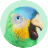 Lendo logo