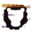 leosac.com icon