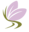 letango.com icon