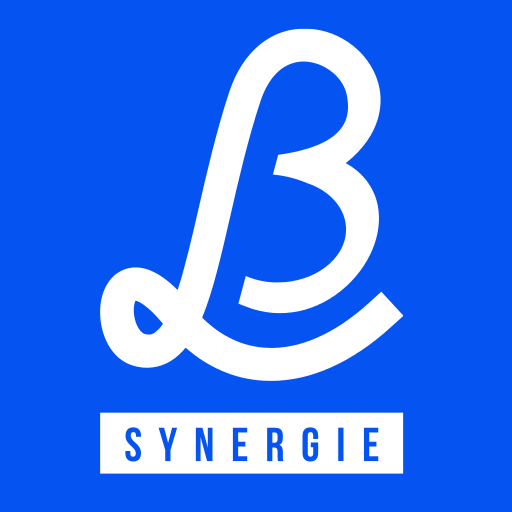 letb-synergie.com icon