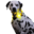 leuchtie.de icon