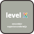 levelx.be icon