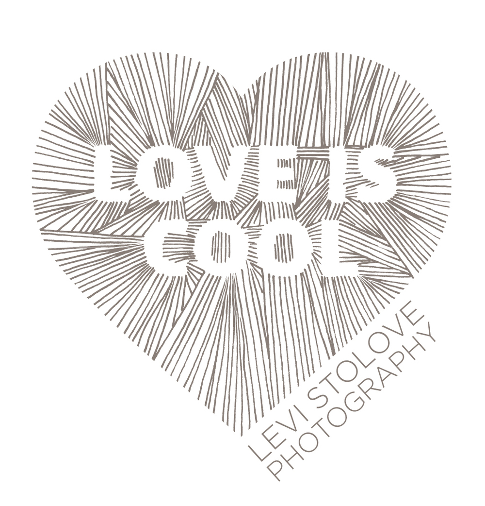 levistolovephotography.com icon