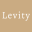 levity.ua logo