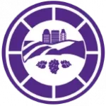 lewisville-clemmons.com icon