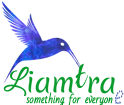 liamtra.com icon