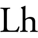 liebieghaus.de icon