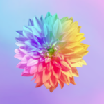 life-alignment.com icon
