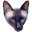 life-with-siamese-cats.com icon