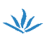 lifebeforeinternet.com icon