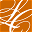 lifecelebration.com icon