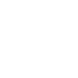 lifefitness.ru icon