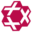 lifeplus.org icon