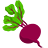 lifeshealthiest.com icon