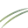 lifespandoulas.com icon