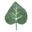 lifewiththecrustcutoff.com icon