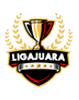 ligajuara.com icon