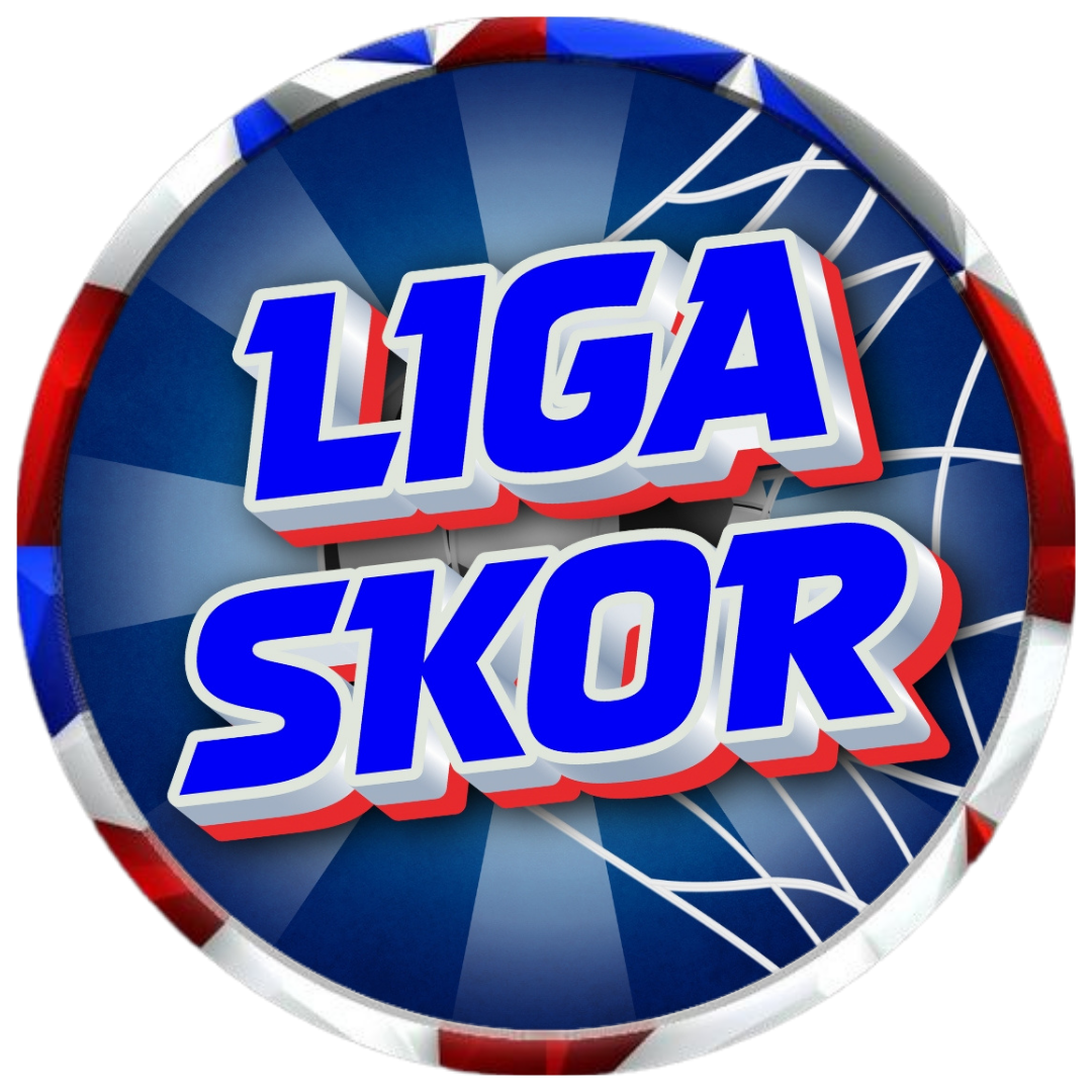 ligaskor.net icon