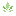 lighthousepalmbeaches.org logo