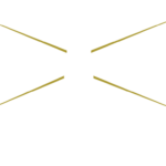 lighthousevisuals.com icon
