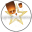 lightsoveramerica.events icon