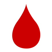 lightthenight.ca icon