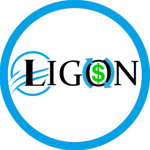 ligoncashhomebuyers.com icon