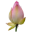 lihunxieyishu.com icon