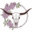 lilacsandlonghorns.com icon