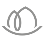 lilienthaler-diakonie.de icon