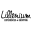lillenium-lille.com icon