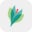 lilys.com icon
