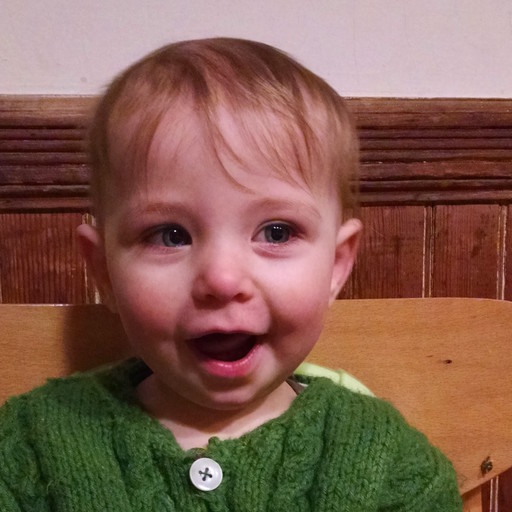 lilywise.com icon