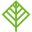 limeparkstudios.com icon