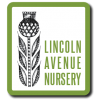 lincolnavenuenursery.com icon