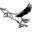 lingyingqizhong.com icon