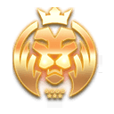 lion4dgaspol.com icon
