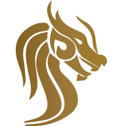 liong617.com icon