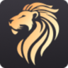 lionkasino14.com icon