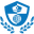 lisainstitute.com logo
