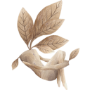 lisandroaristi.com icon