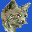 listlynx.com icon
