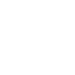 listralize.com.br icon