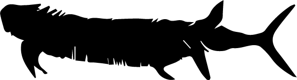 lithicpress.com icon