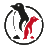 little-pinguin.de icon