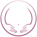 littlebelliesspa.com icon