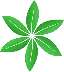 littlepioneer.fr icon