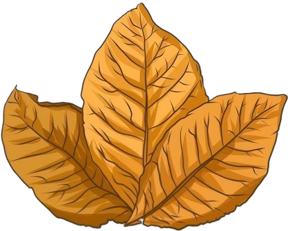 littlepioneer.pl icon