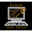 Domain Favicon