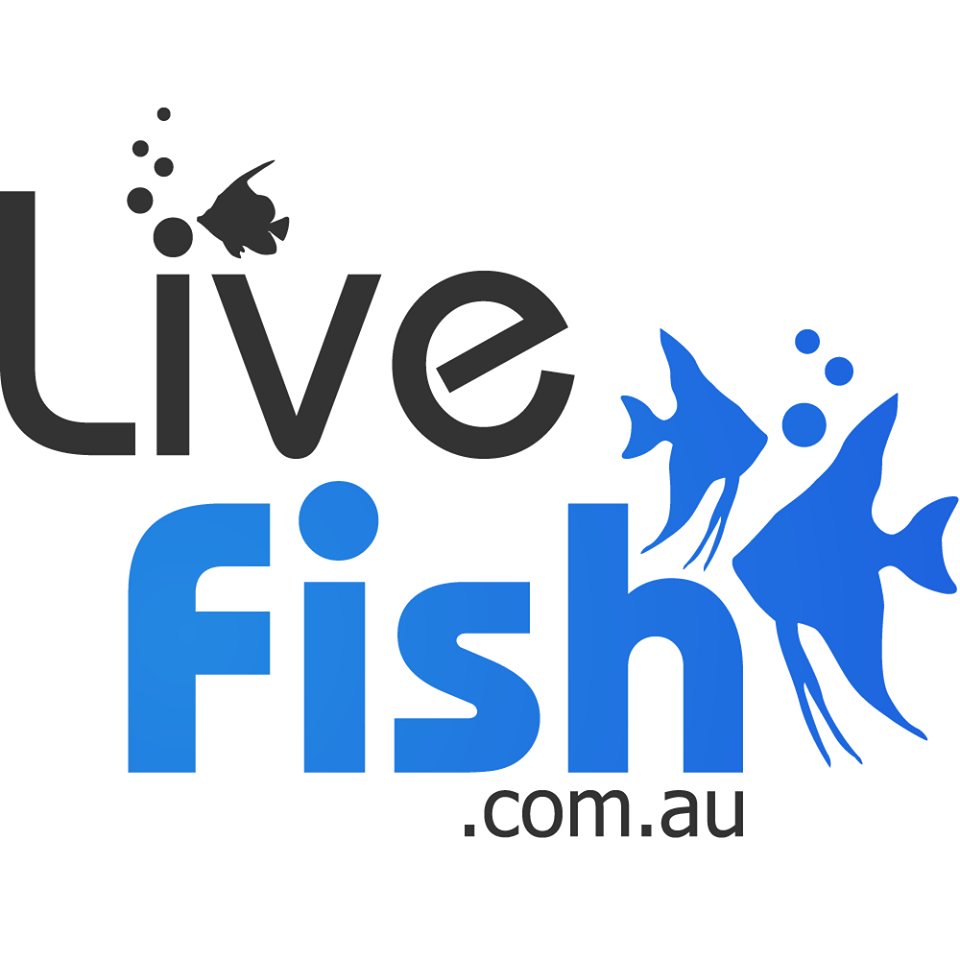 livefish.com.au icon